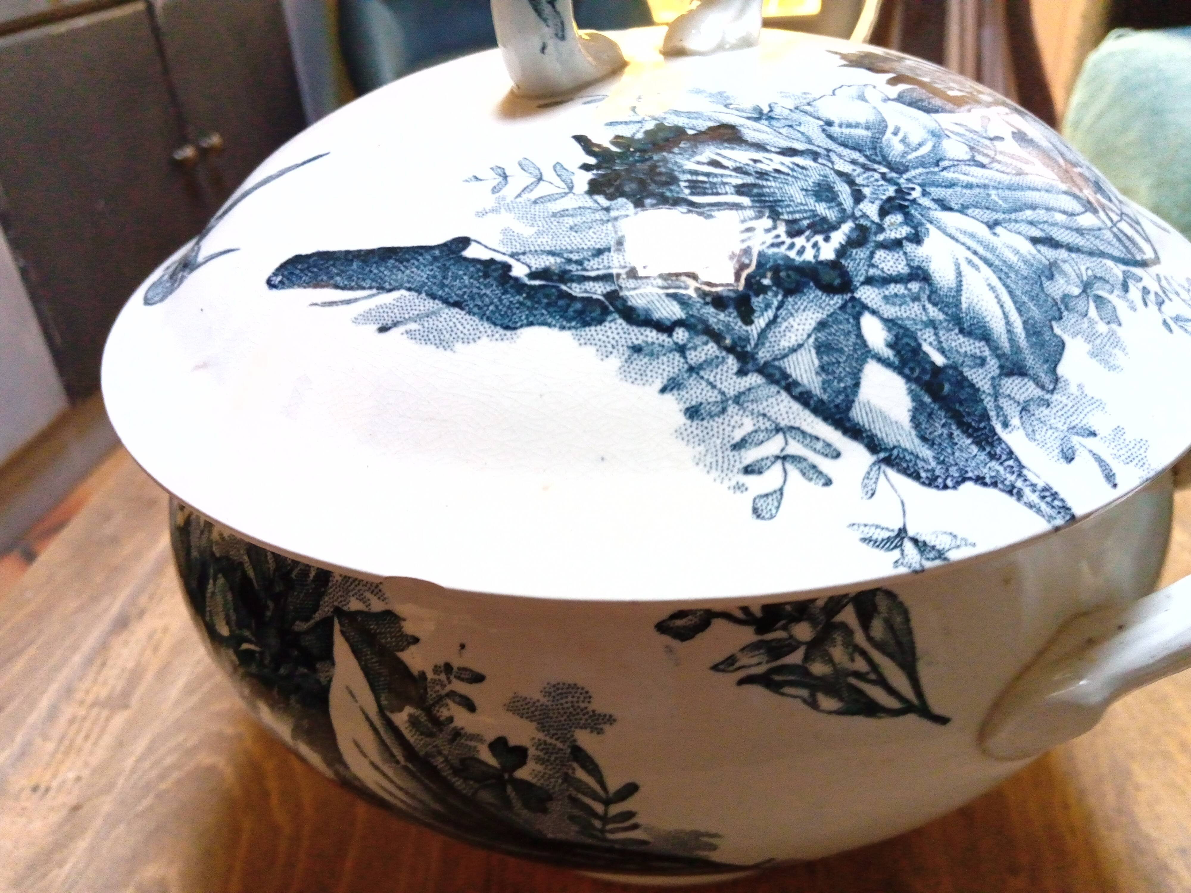 Tureen Iron Earth Orchids