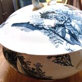 Tureen Iron Earth Orchids