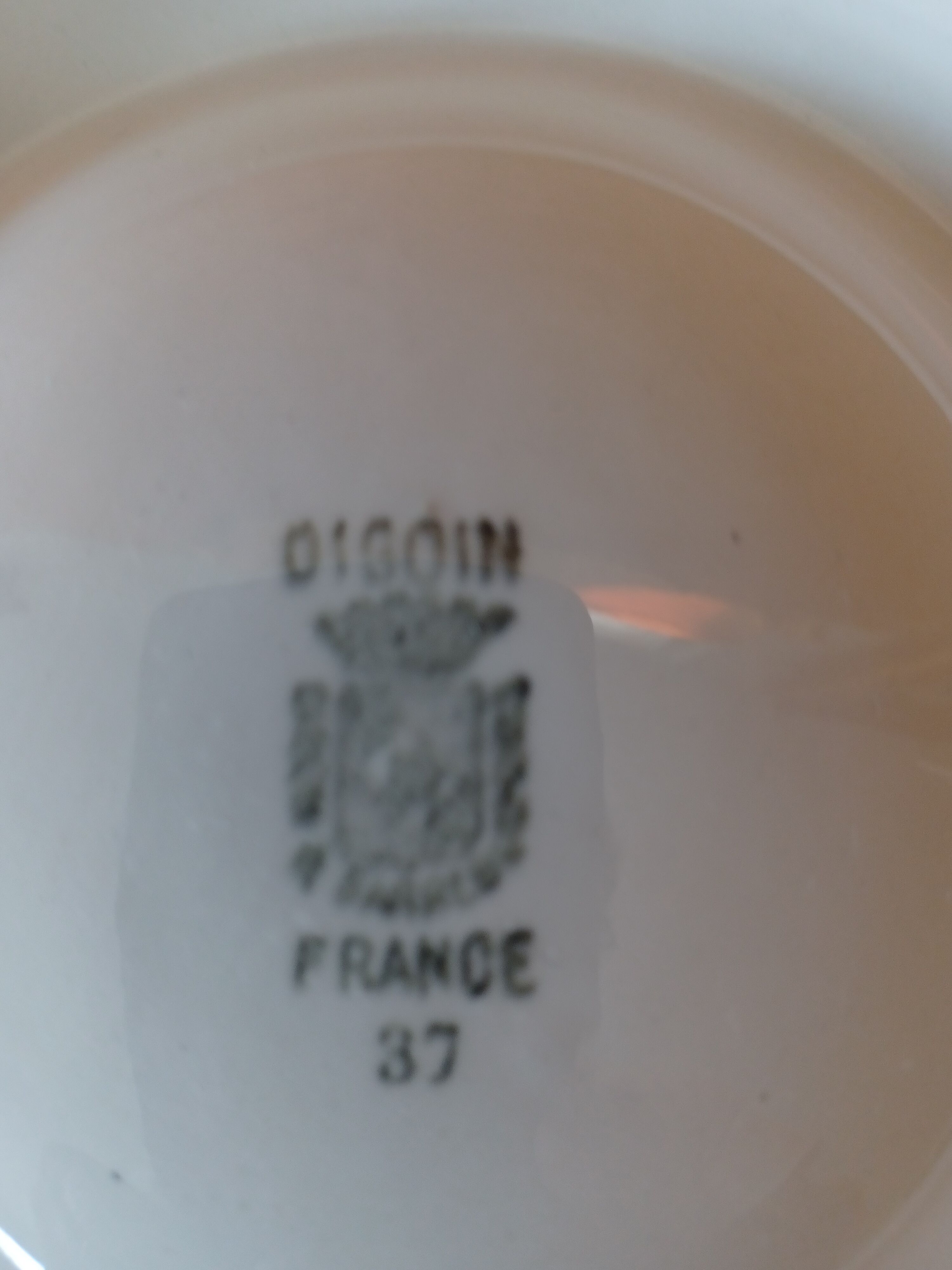 Oyster service flat and plates 9 Digoin Sarreguemines