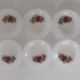 6 assiettes fruits des bois arcopal mûre fraise framboise