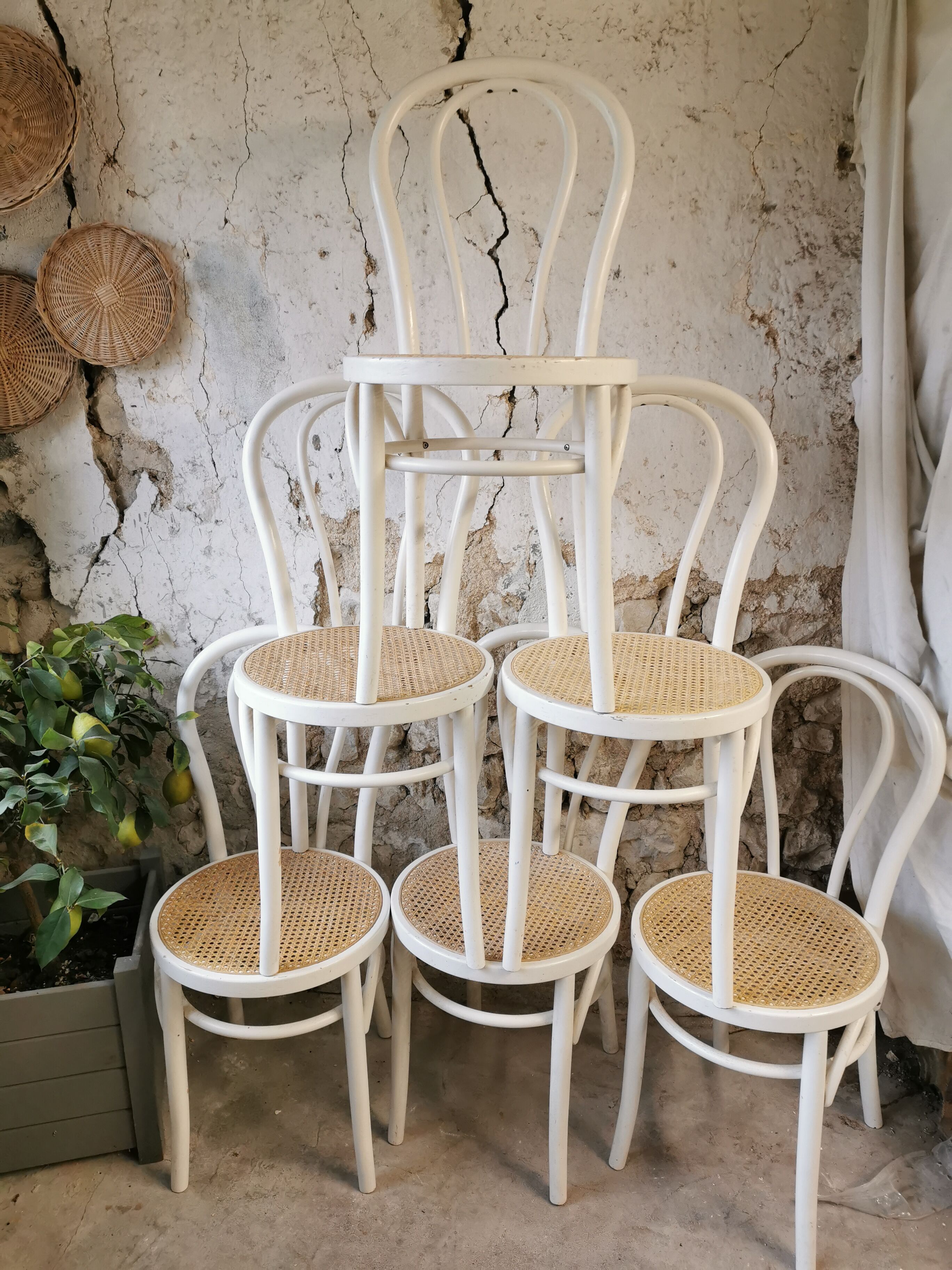 Suite of 6 canned bistro chairs