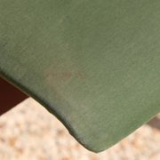 Robin Day chair "HILLESTAK" 1950 green