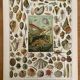 Réserve Audrey - Lot de 6 lithos XXe