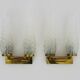 Pair of double-light wall lights, brass, teak globe, glass tubes. 50s-60s