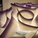 Slamp Veli wall and ceiling light, Italian design, Italian design