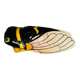 Vallauris ceramic bee signed Ferlay