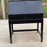 Black Scandinavian secretary