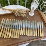 Set of 10 knives and 12 vintage horn knives