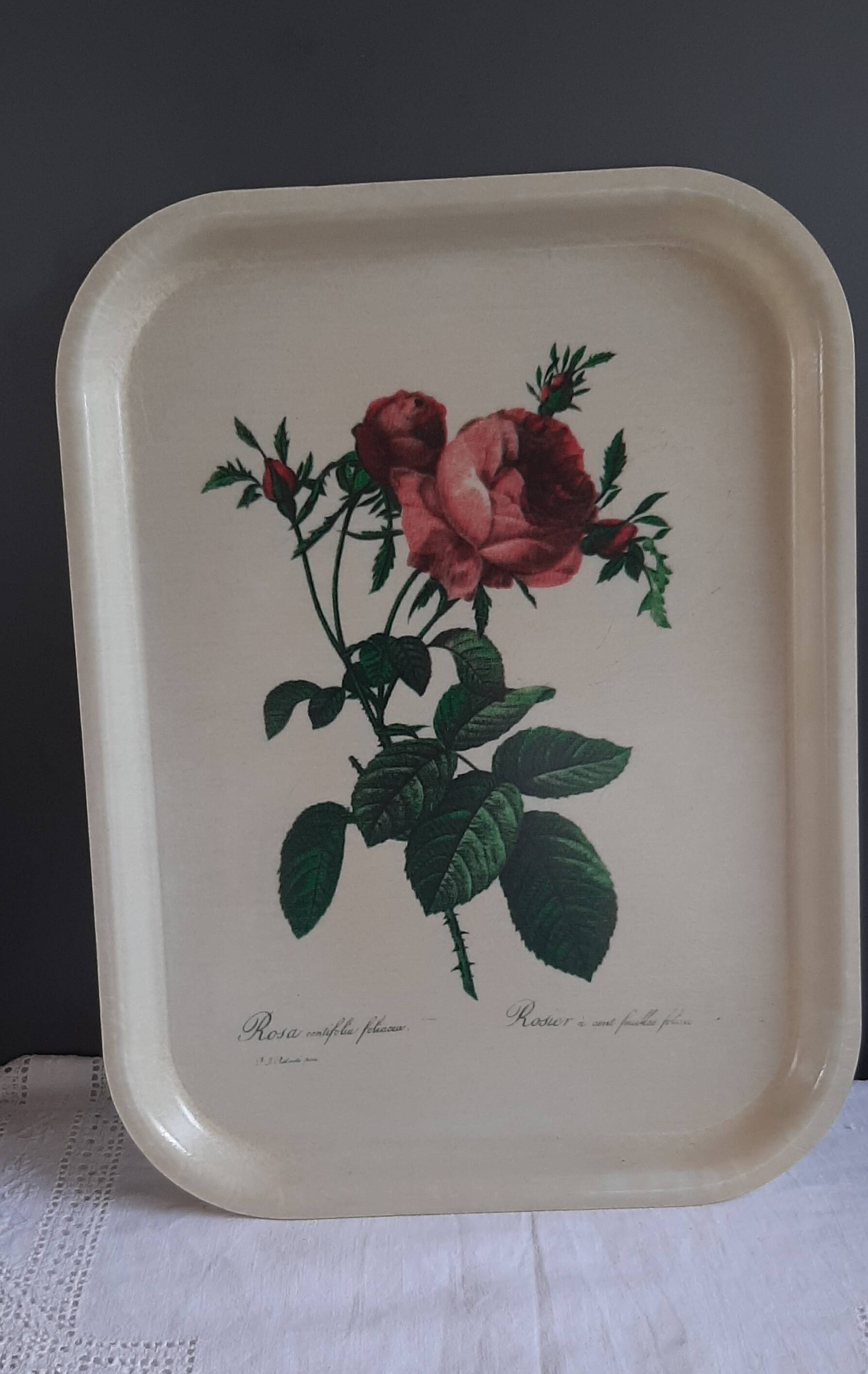 Plateau en fibre de verre