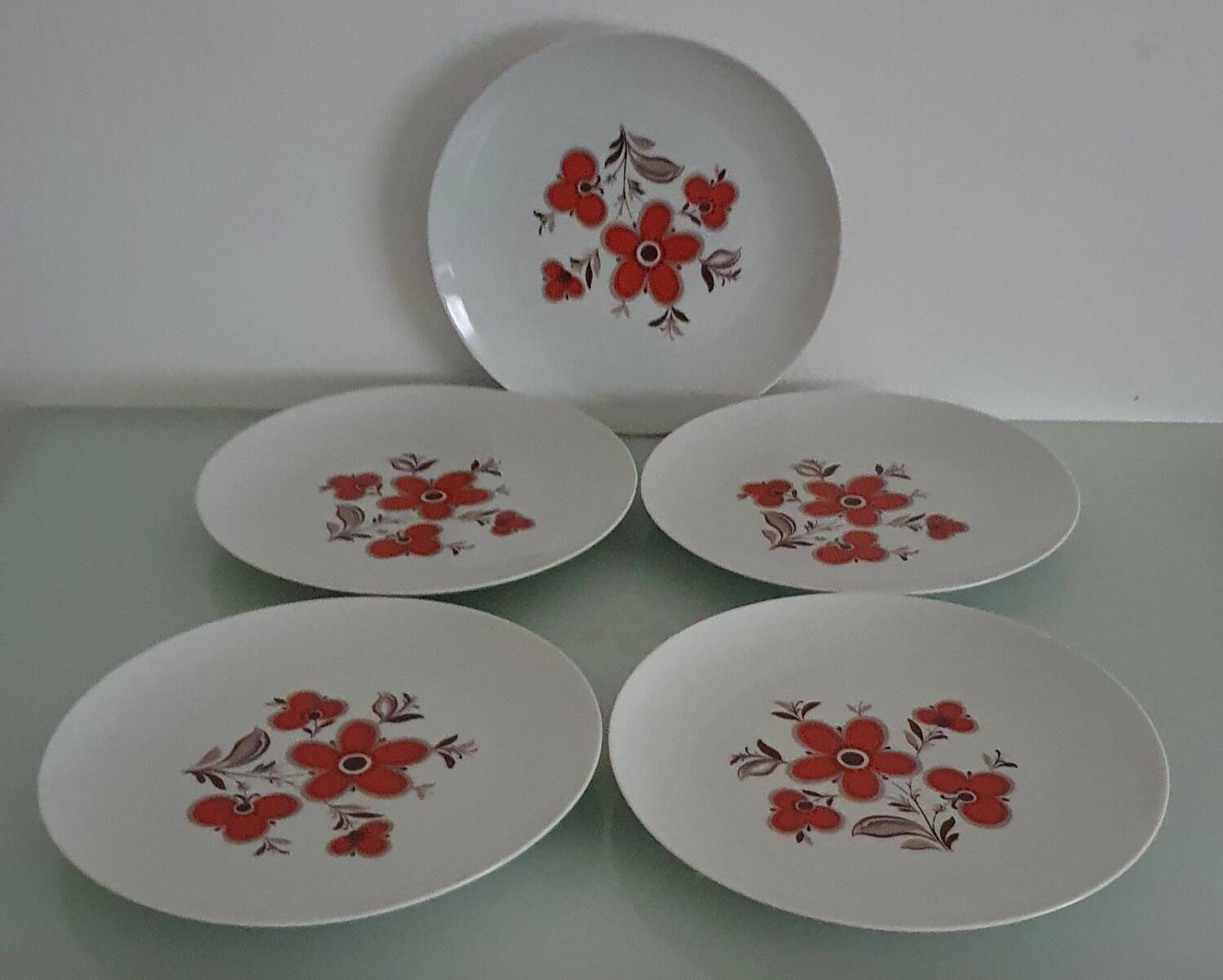 Set of 5 flat plates - Arzberg earthenware - 1960/70
