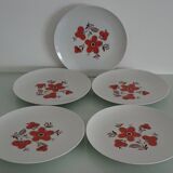 Set of 5 flat plates - Arzberg earthenware - 1960/70