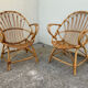 Paire de fauteuils coquille vintage 1950