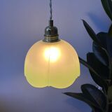 Vintage green and white flower pendant light - 2 copies available