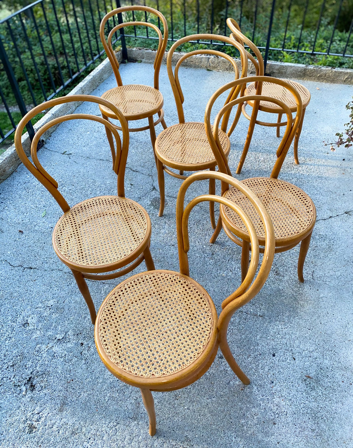 6 curved wooden chairs Thonet