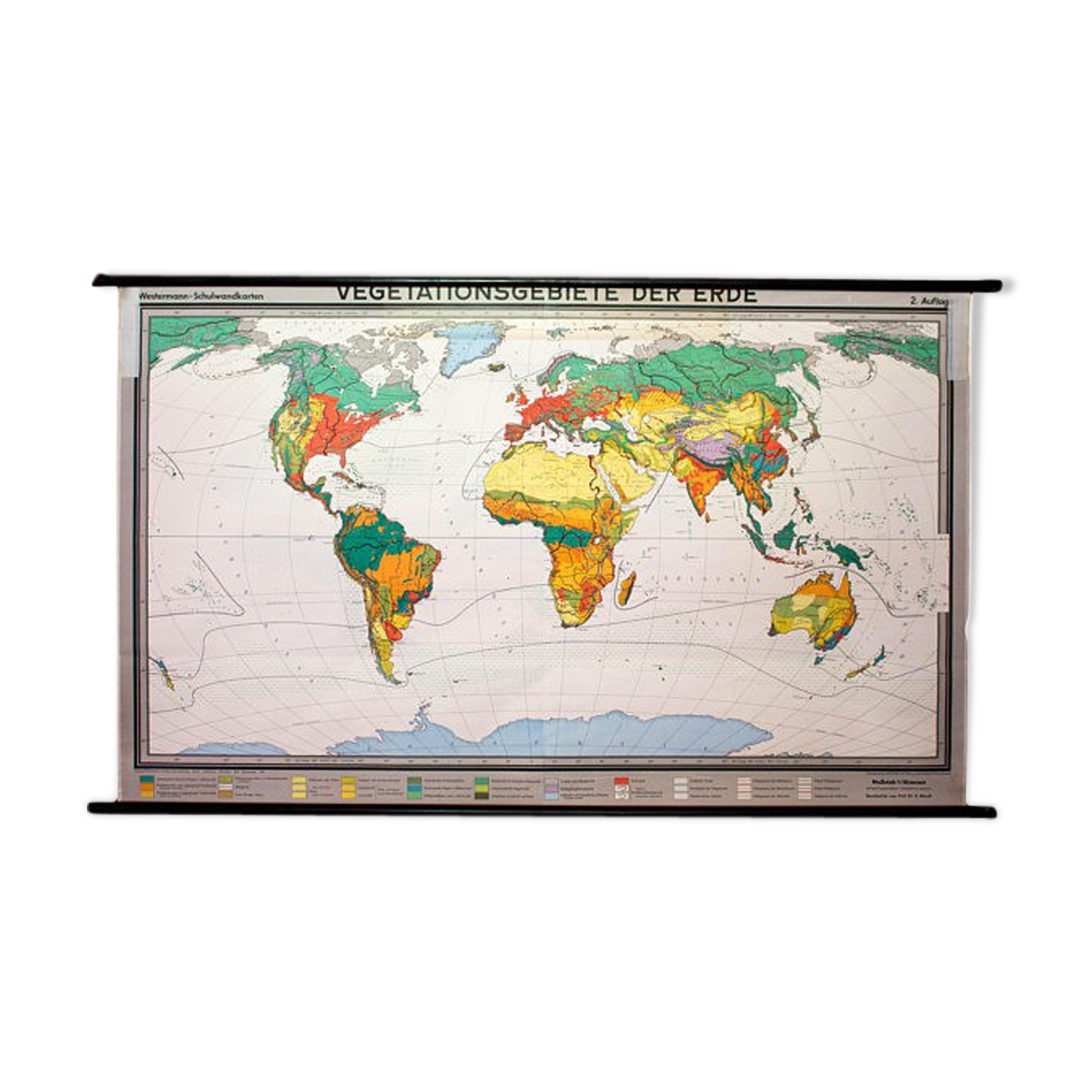Poster "Vegetation of the Earth" educational board 1959