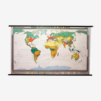 Poster "Vegetation of the Earth" educational board 1959