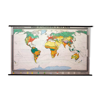 Poster "Vegetation of the Earth" educational board 1959