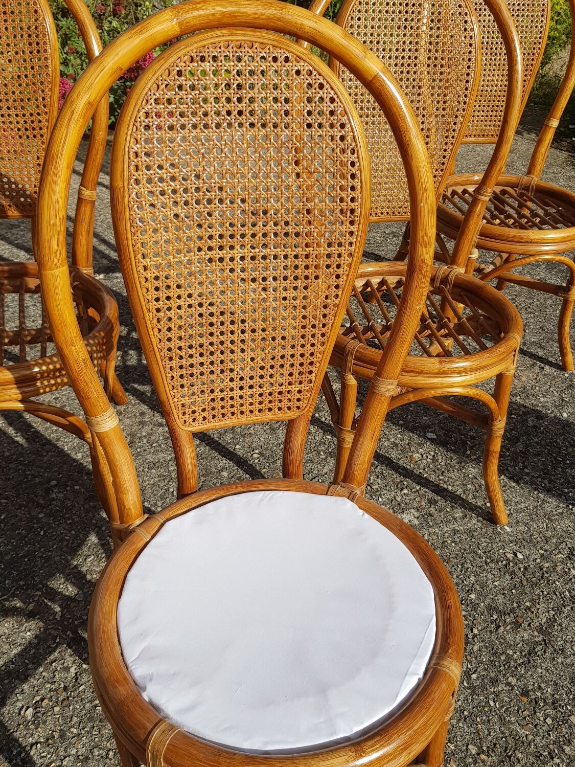 Lot 5 rattan chairs and canning 70s