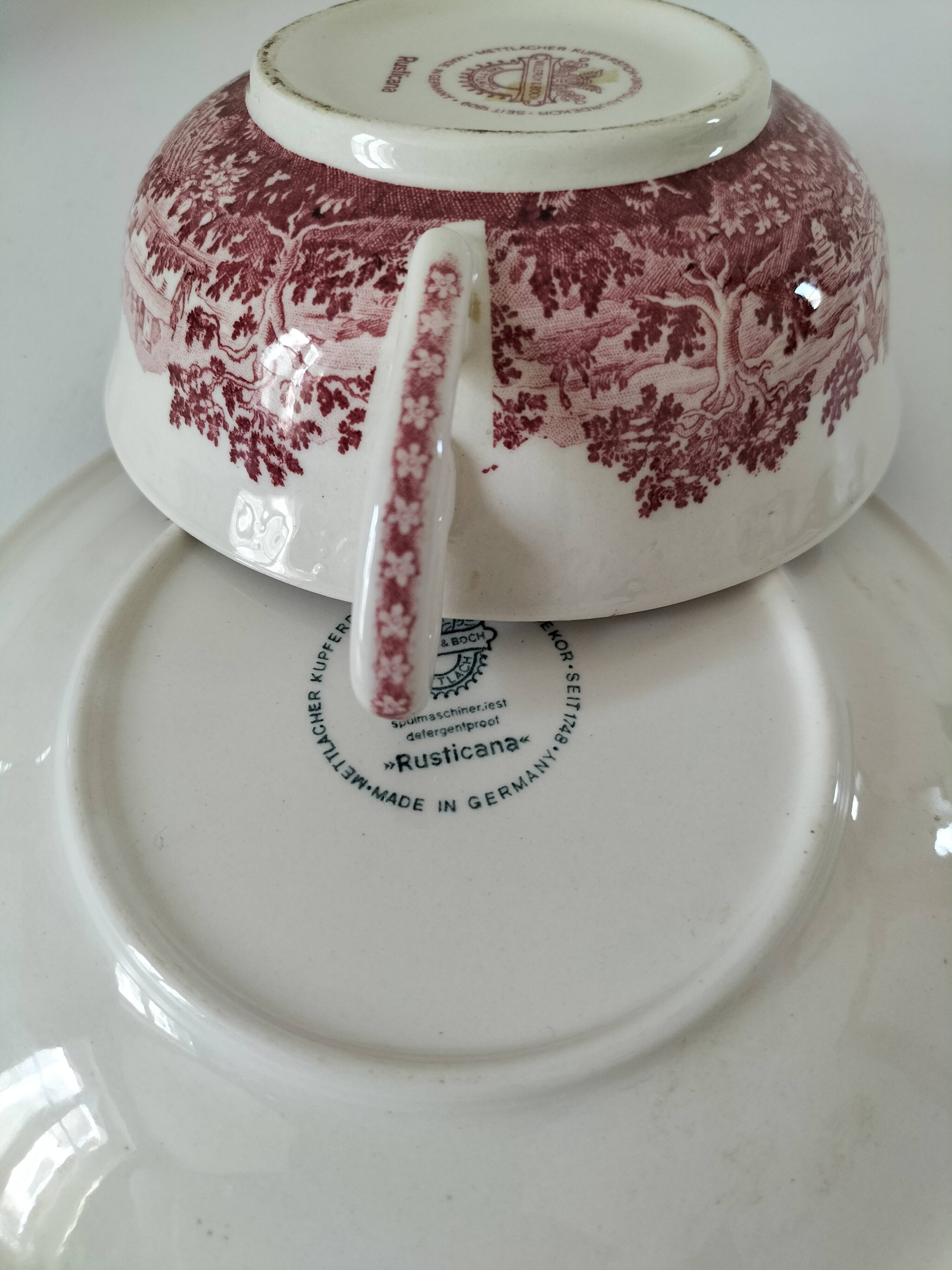 Villeroy and Boch Rusticana two-handled cup and saucer