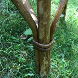 Rattan garden furniture