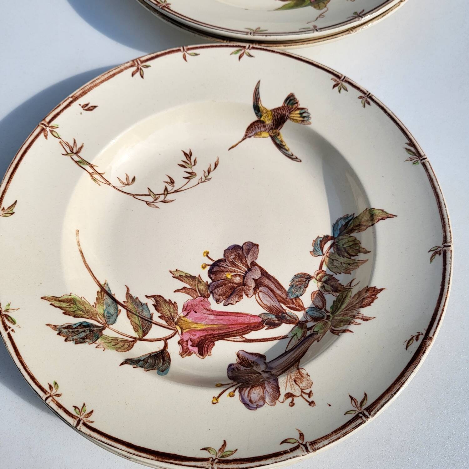 Lot of 4 hummingbird soup plates 1875