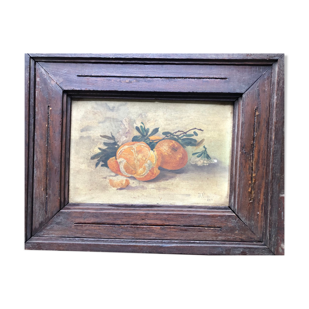 Aquarelle Originale XIXème – Lys De Montagne De Lantignie (France) – Nature Morte Fleurs