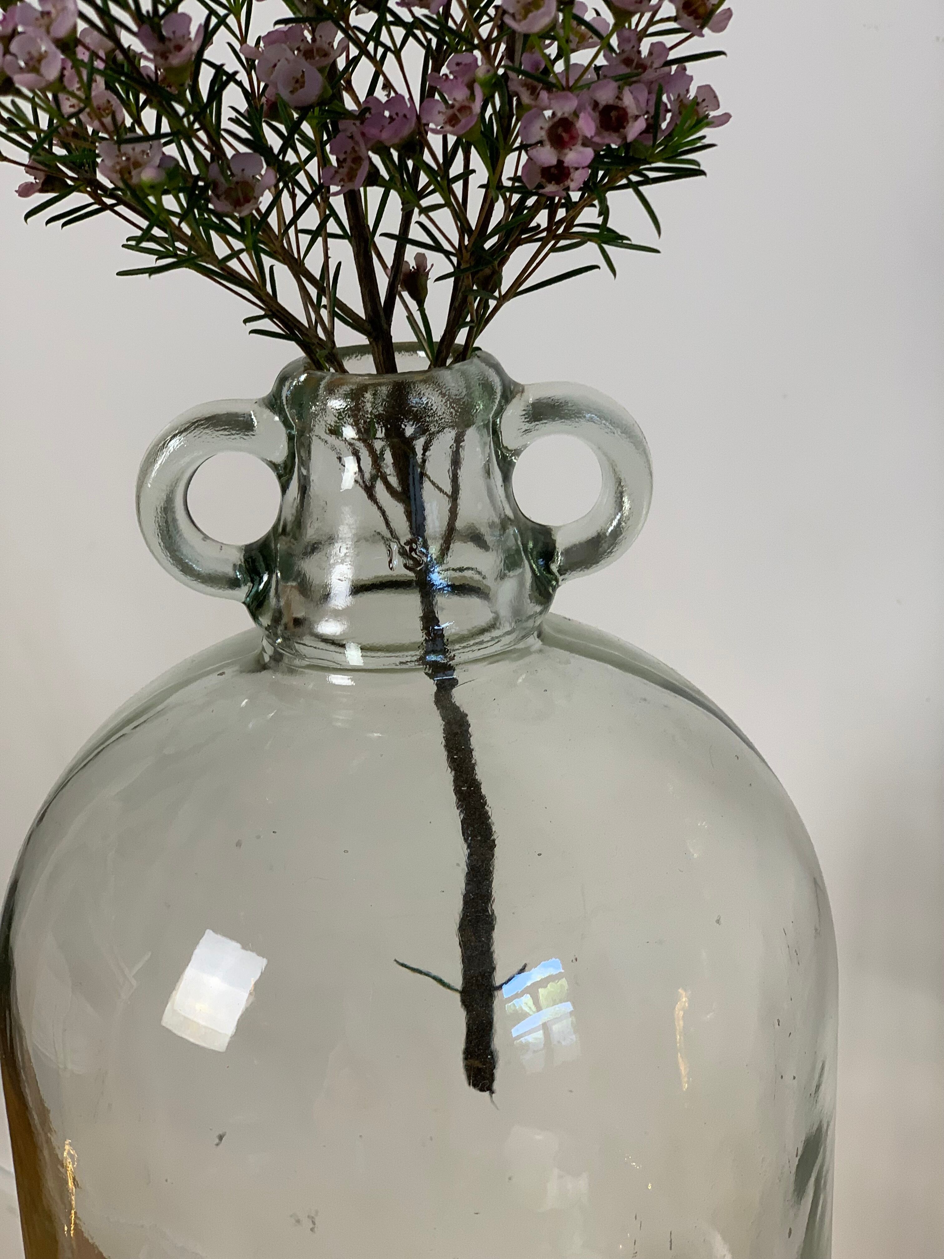 Transparent Lady Jeanne