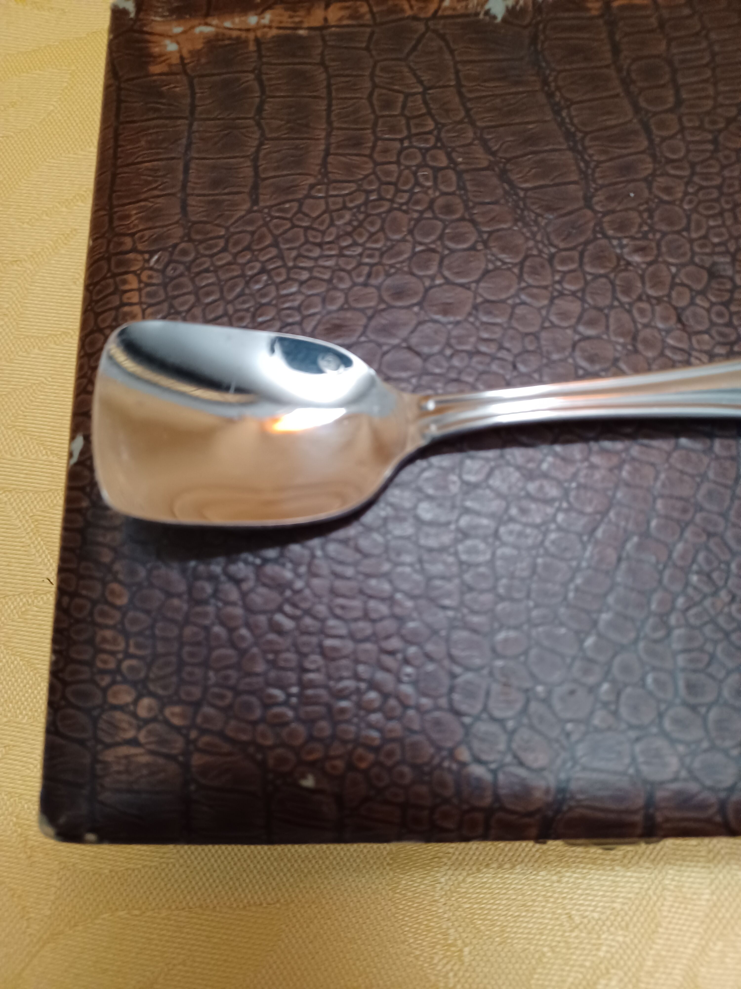 Ice spoon service, stainless steel