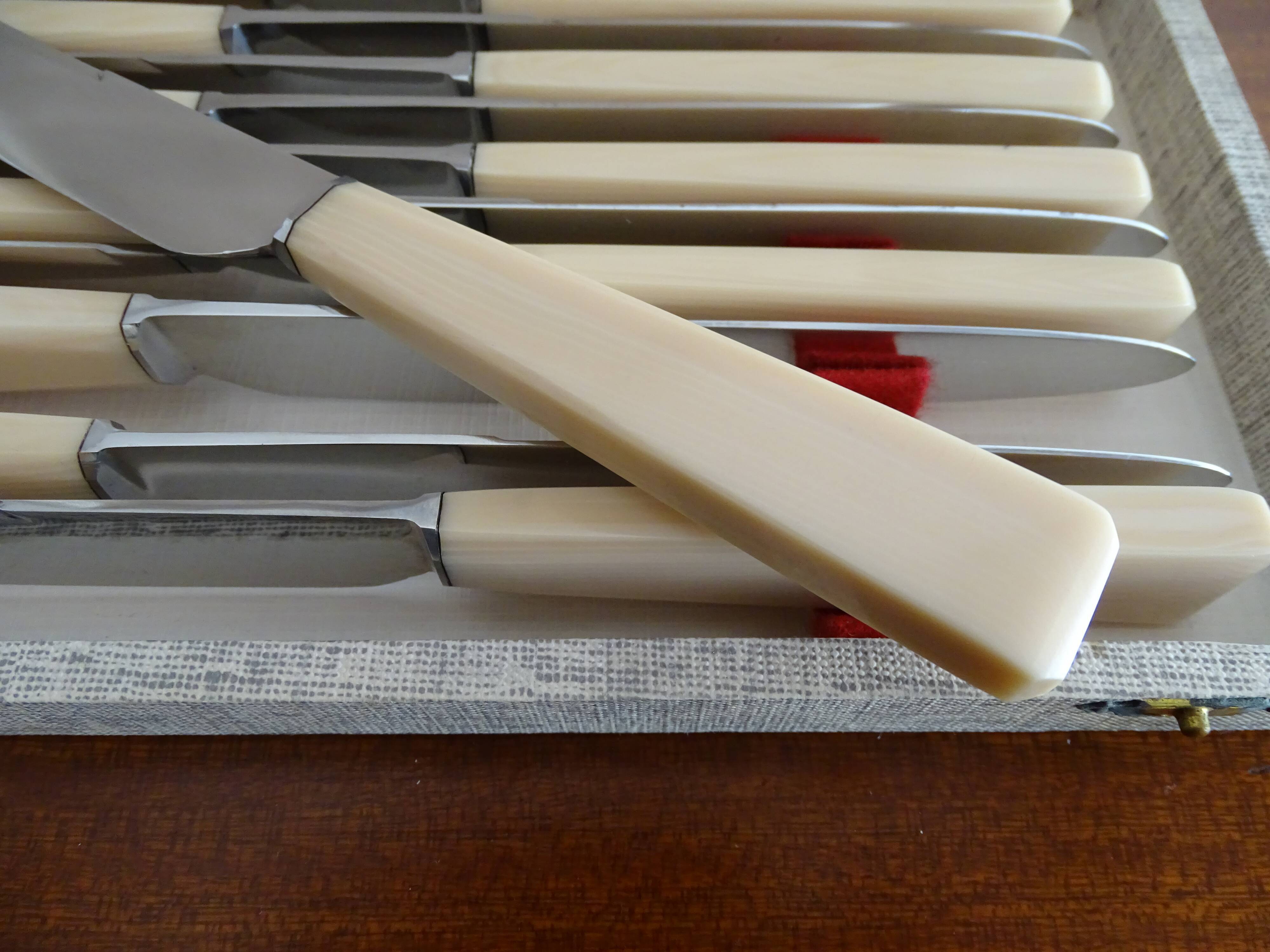 12 vintage stainless steel knives bone or bakelite sleeves in case