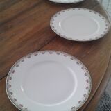 10 Limoges porcelain flat plates