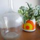 Demijohn transparent