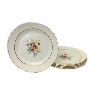 Lot de 6 assiettes plates faïence « salins » -"manzat"