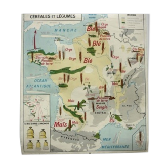 School of 1960 Editions MDI «Grain and vegetables» map