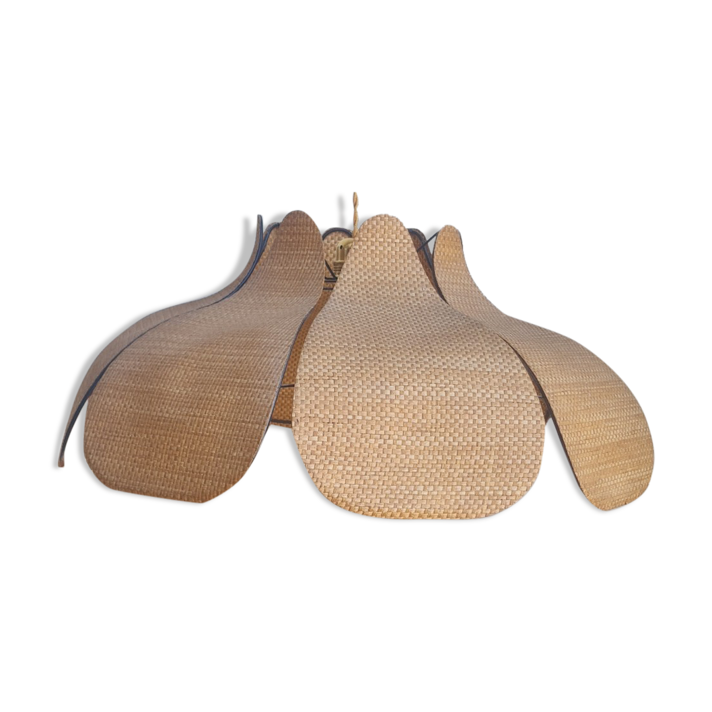 Lotus flower suspension in canning