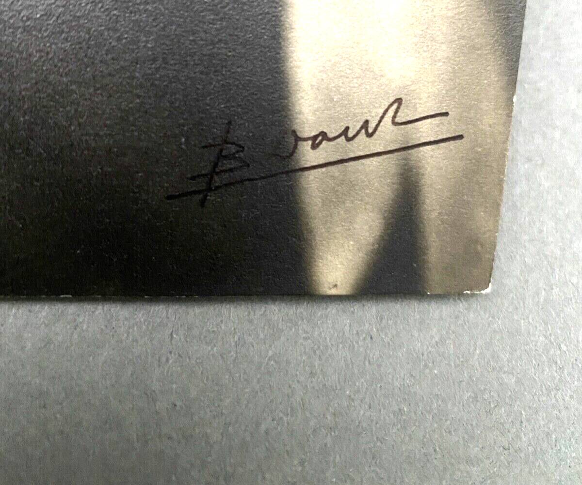 Film photography Bernard Darot XXe Lys