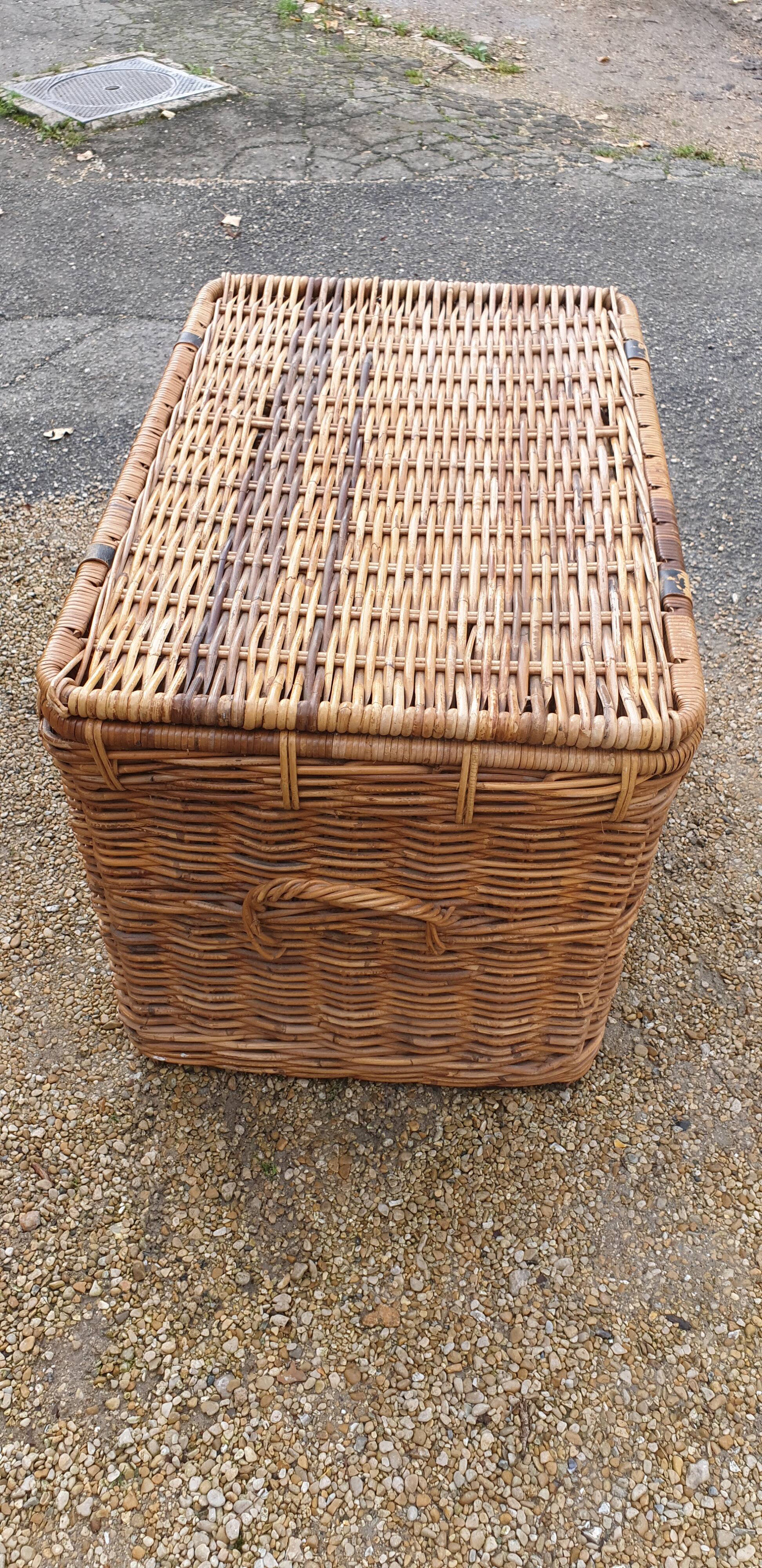 Rattan trunk