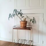 Vintage serving trolley, 70's