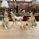 Series of ceramic dogs from Desvres