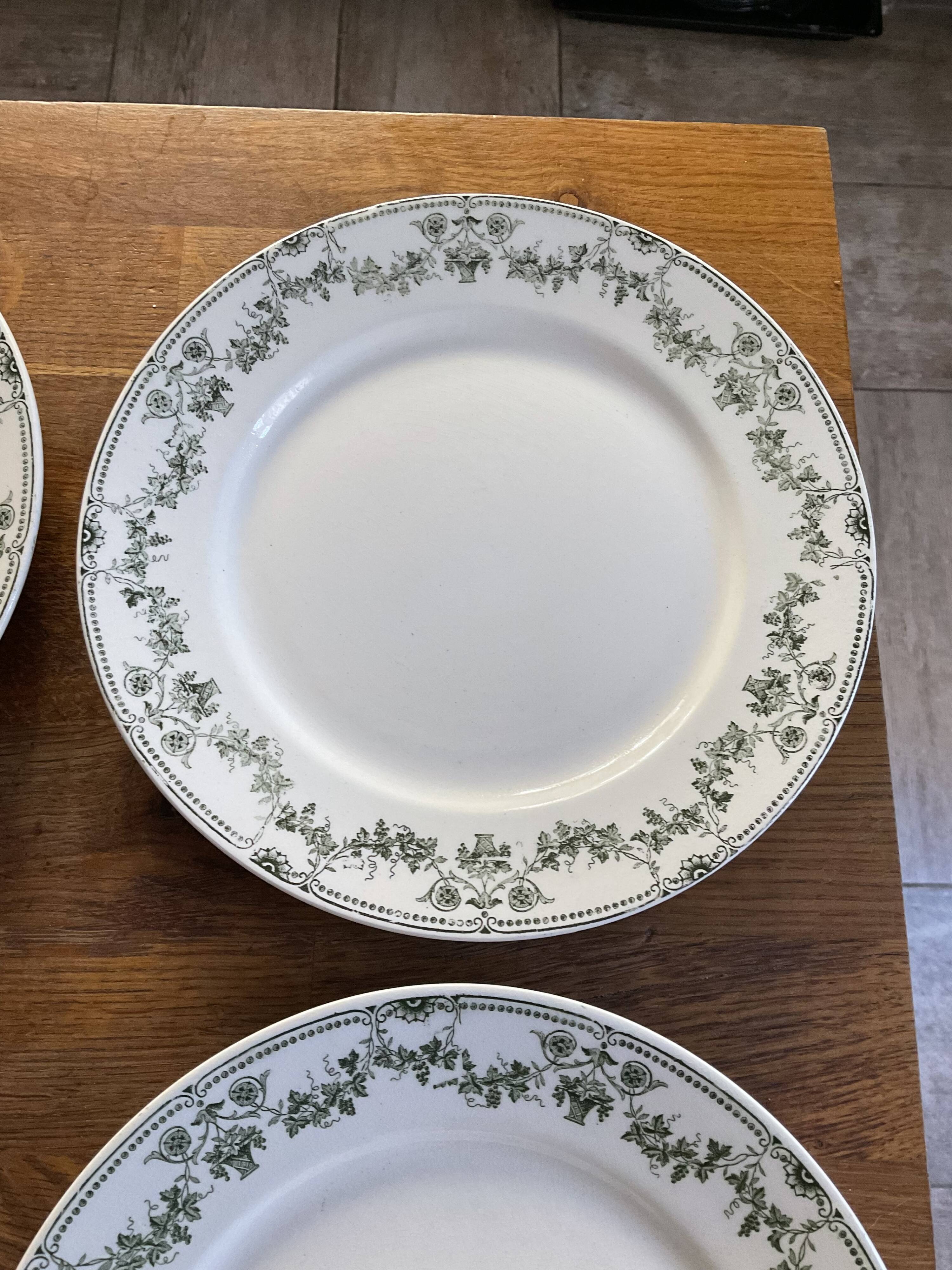 Set 6 flat plates badonviller model champagne