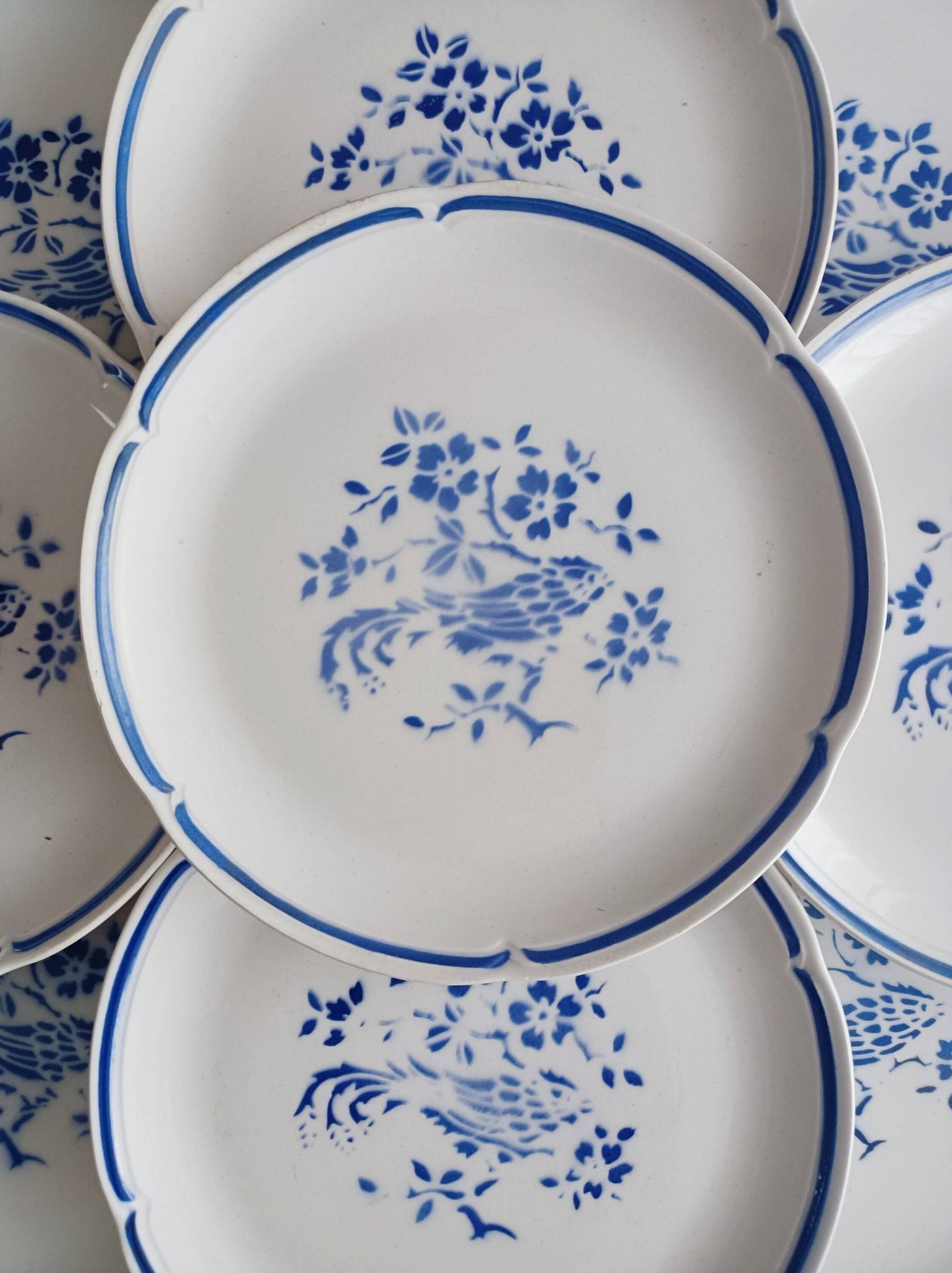 Set of 10 Moulin des Loups dinner plates, Alain