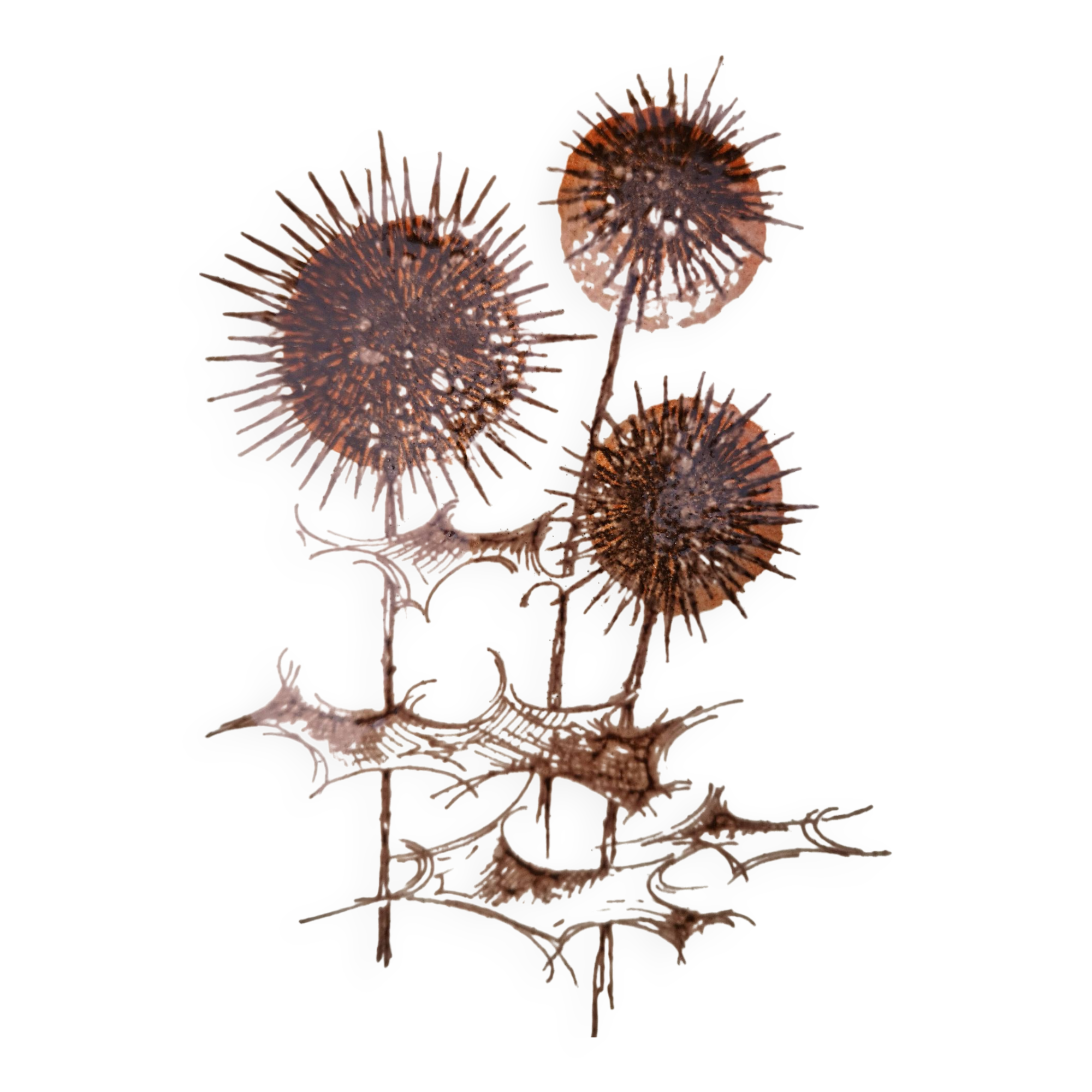 Set of 4 vintage stoneware plates, “Thistles” model