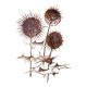 Set of 4 vintage stoneware plates, “Thistles” model