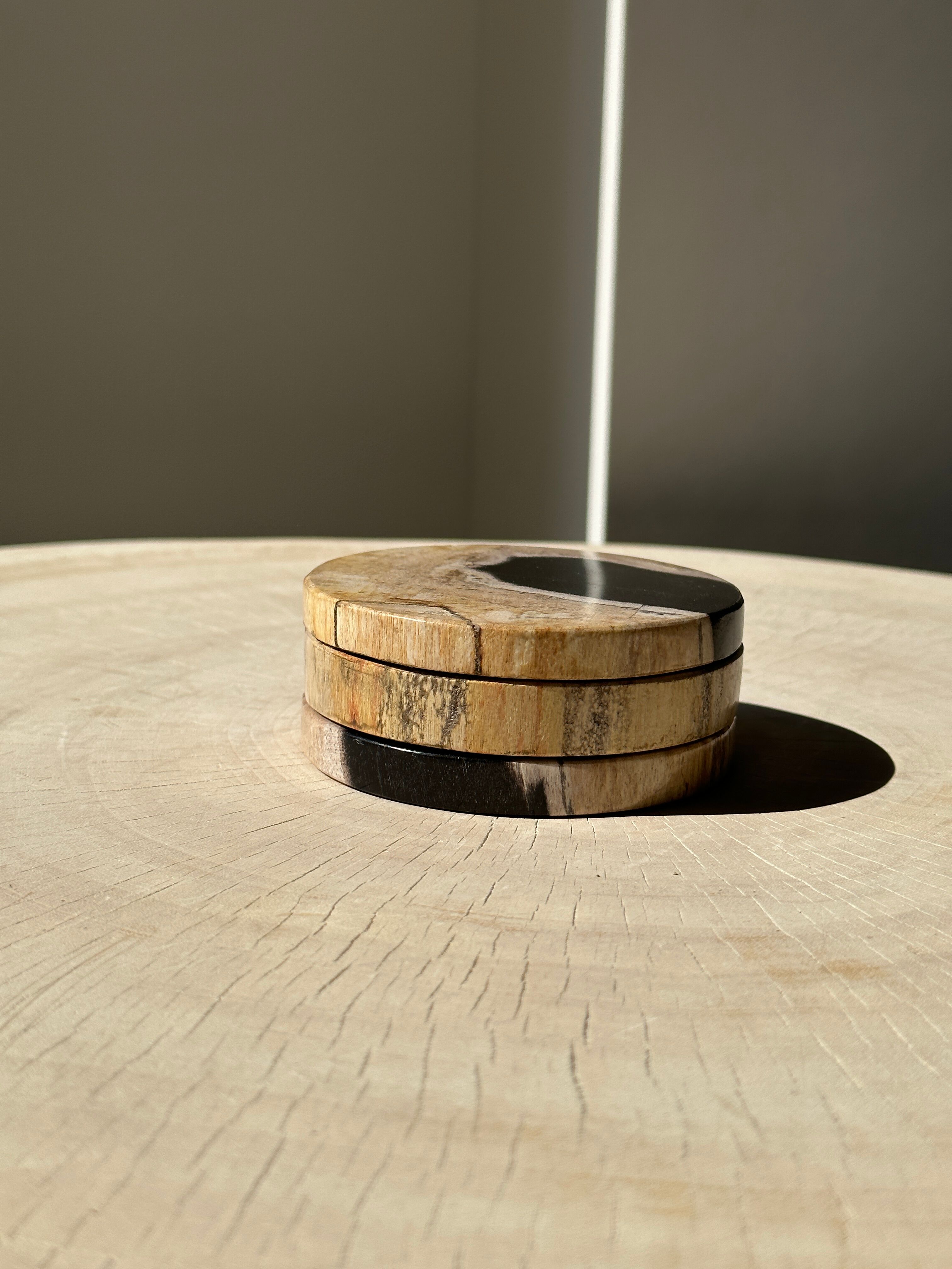 Set of 3 fossilized wooden coasters (clear)