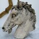 Horse heads