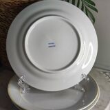 Porcelain dessert plates
