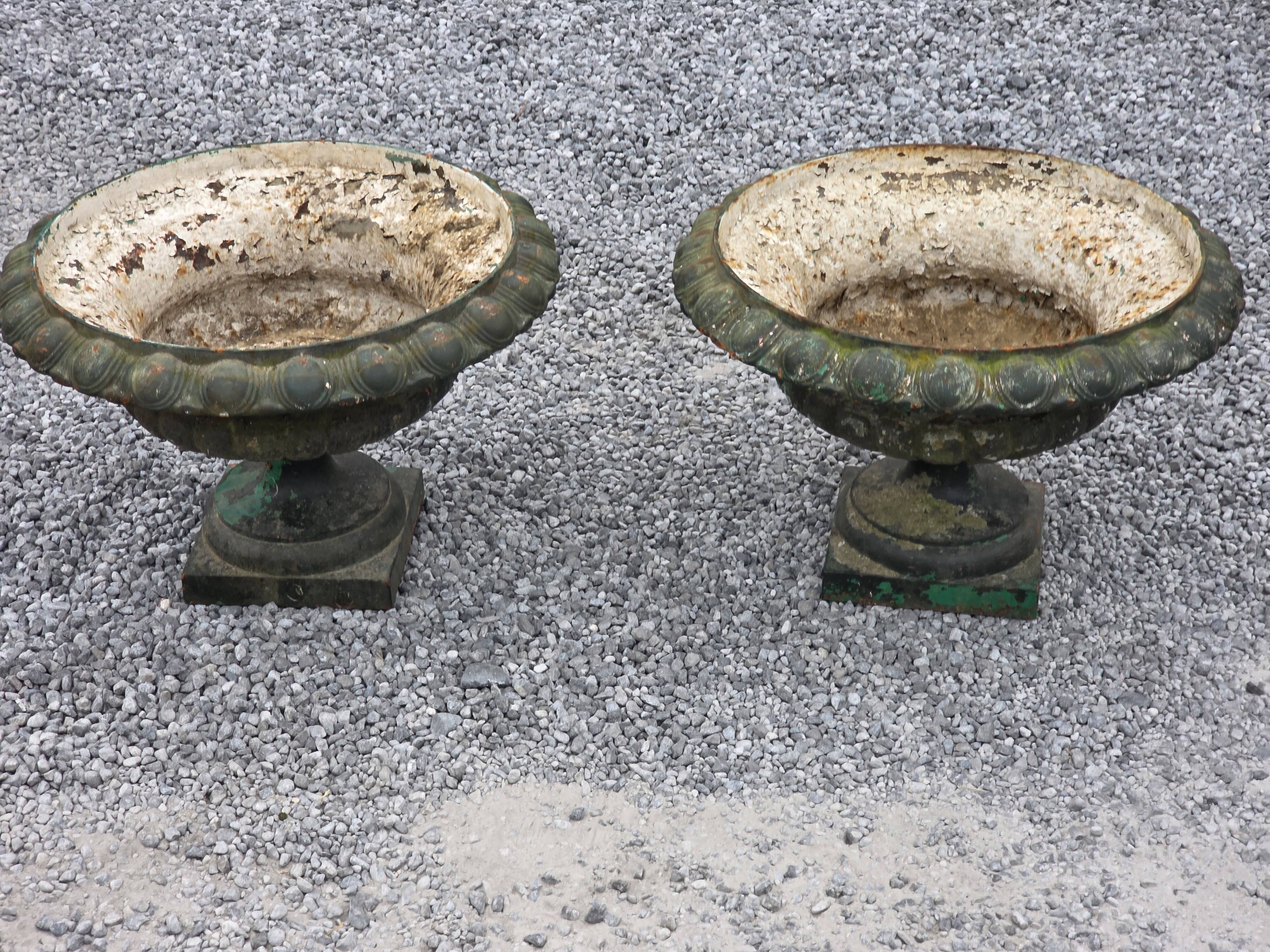 Pair of Medici vases in cast iron from the 19th century, 55cm wide.