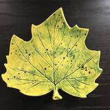 Plat feuille de platane