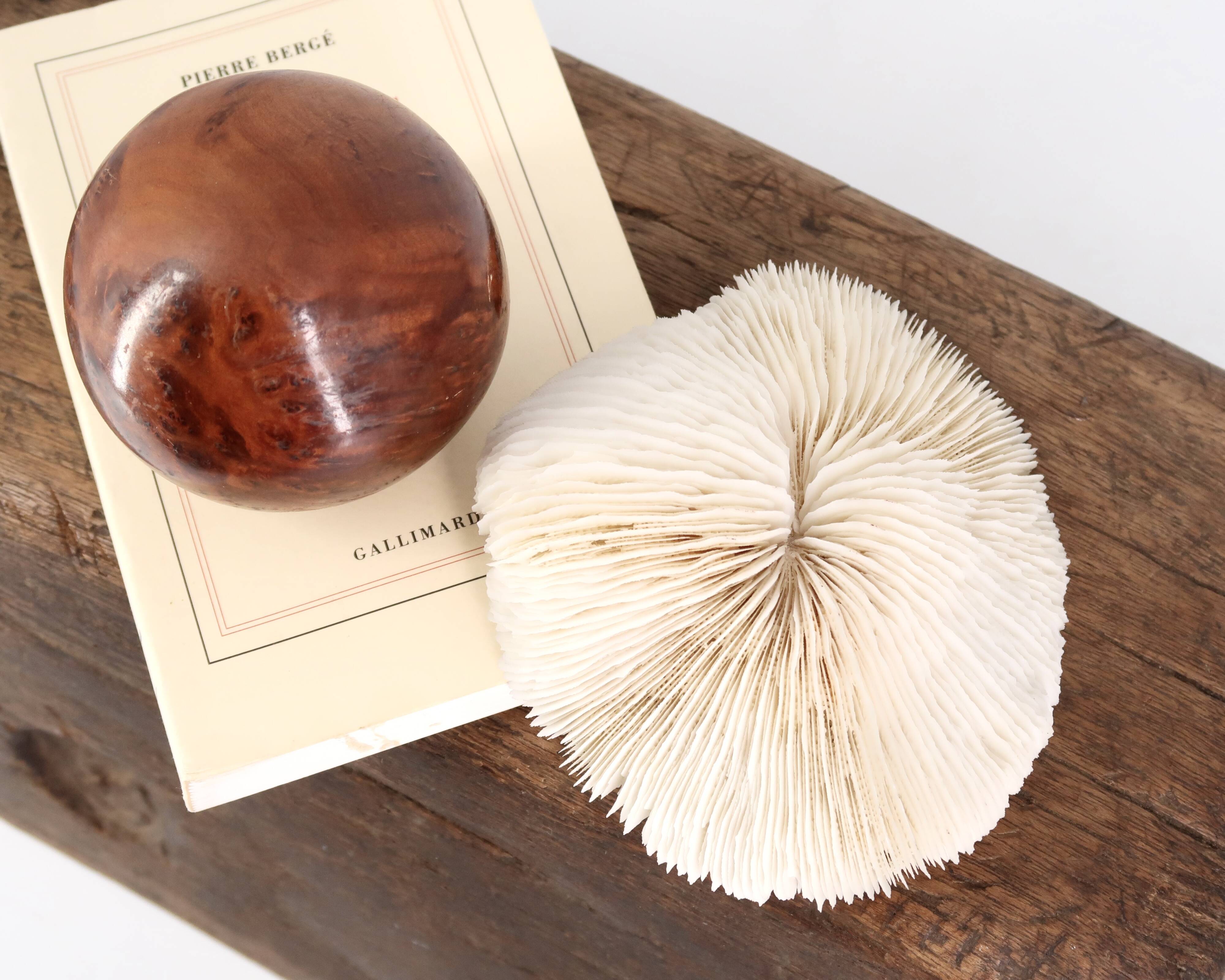 Natural white coral, 70s