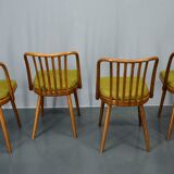 1960s Antonin Suman beech dining chairs, set of 4