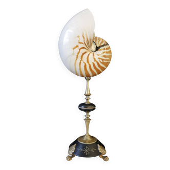 Nautil / Nautilus, Brass and Black Marble Base (19th century) H: 37 cm | PlaceOddit